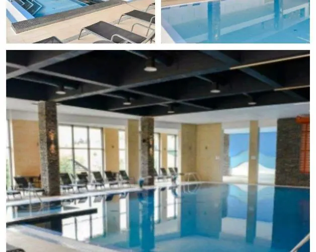 Martin ズラティボール